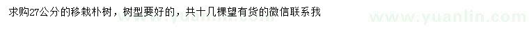求購27公分移栽樸樹