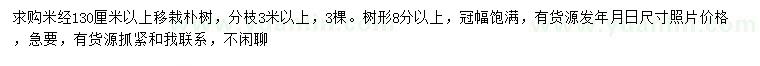 求購米徑130公分以上移栽樸樹