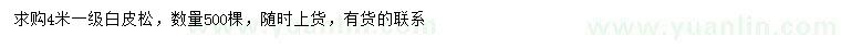 求購4米白皮松