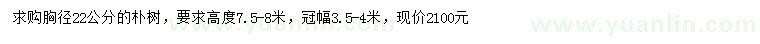求購胸徑22公分樸樹