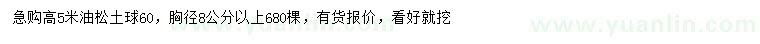 求購(gòu)高5米油松