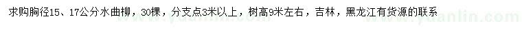 求購胸徑15、17公分水曲柳