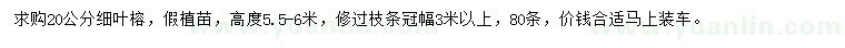 求購20公分細(xì)葉榕