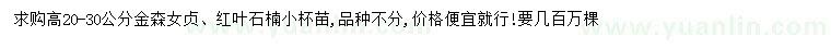 求購高20-30公分金森女貞、紅葉石楠
