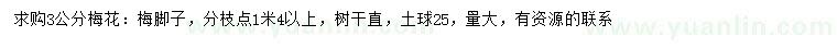 求購3公分梅花