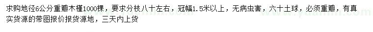 求購地徑6公分重瓣木槿