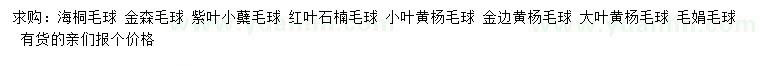 求購(gòu)海桐毛球、金森毛球、紫葉小蘗毛球等