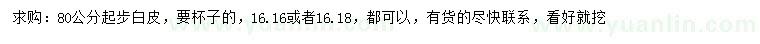求購80公分起步白皮松