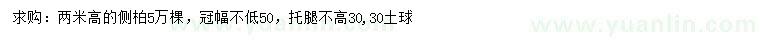 求購(gòu)高2米側(cè)柏
