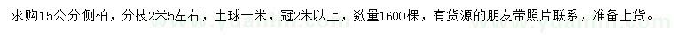 求購15公分側柏