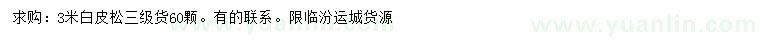 求購3米白皮松