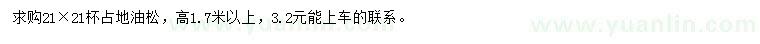 求購高1.7米以上占地油松