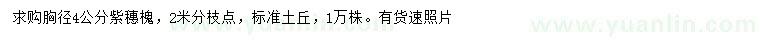 求購胸徑4公分紫穗槐