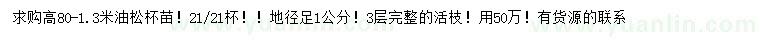 求購高80-1.3米油松