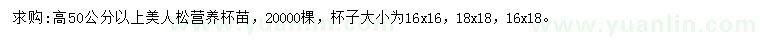 求購(gòu)高50公分以上美人松