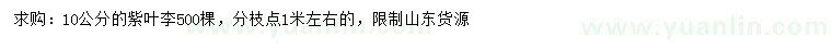 求購(gòu)10公分紫葉李
