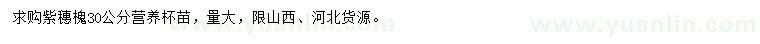 求購30公分紫穗槐
