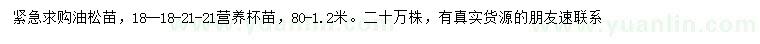 求購80-1.2米油松苗