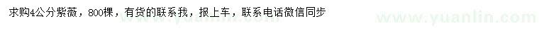 求購4公分紫薇