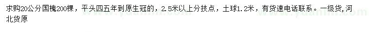 求購20公分國槐