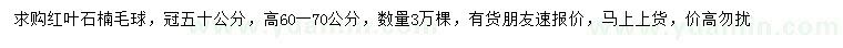 求購冠幅50公分紅葉石楠毛球