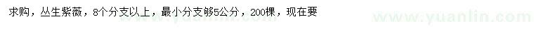 求購8個分支以上叢生紫薇