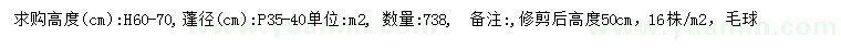 求購高60-70公分紅花繼木