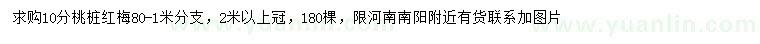 求購10公分桃樁紅梅