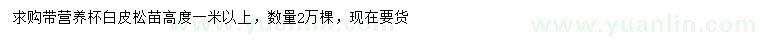 求購(gòu)高1米以上白皮松