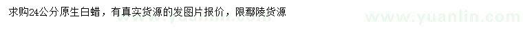 求購24公分白蠟