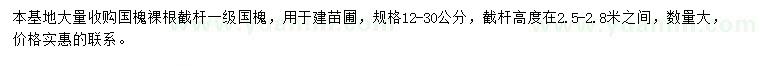 求購(gòu)12-30公分國(guó)槐