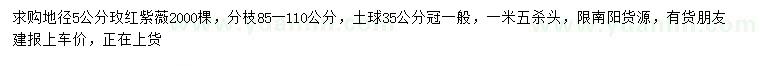 求購(gòu)地徑5公分玫紅紫薇