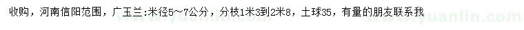 求購(gòu)米徑5-7公分廣玉蘭
