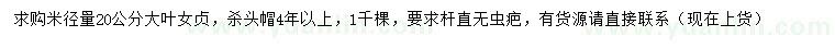 求購米徑20公分大葉女貞