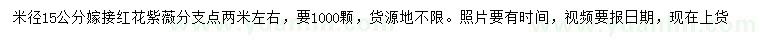 求購米徑15公分紅花紫薇
