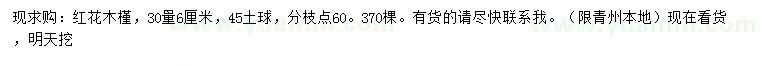 求購30量6公分紅花木槿