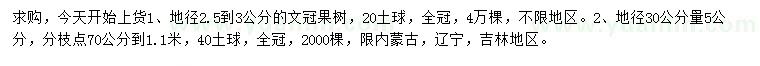 求購地徑2.5-3、5公分文冠果