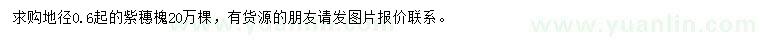 求購地徑0.6公分以上紫穗槐