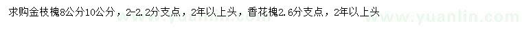 求購8、10公分金枝槐、香花槐