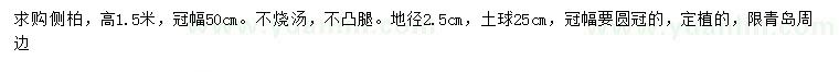 求購高1.5米側(cè)柏