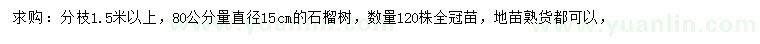 求購(gòu)直徑80量15公分石榴