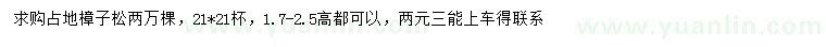 求購高1.7-2.5米占地樟子松