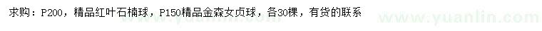 求購冠幅200公分紅葉石楠球、150公分金森女貞球