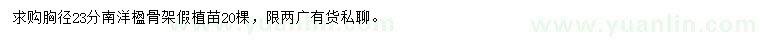 求購胸徑23公分南洋楹