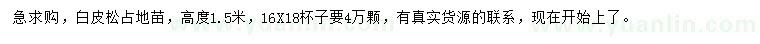 求購(gòu)高1.5米占地白皮松