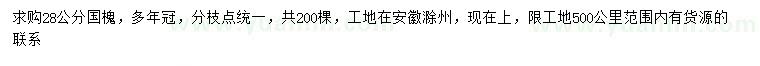 求購28公分國槐