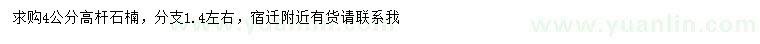求購4公分高桿石楠