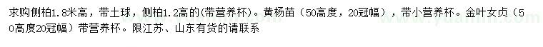 求購(gòu)側(cè)柏、黃楊、金葉女貞