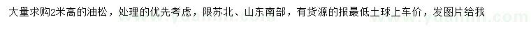 求購高2米油松
