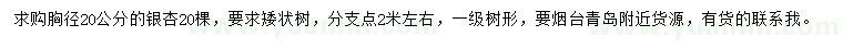 求購胸徑20公分銀杏
